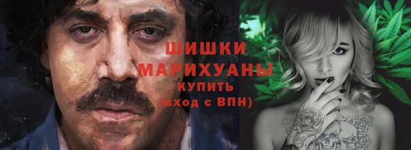 дживик Сосновый Бор
