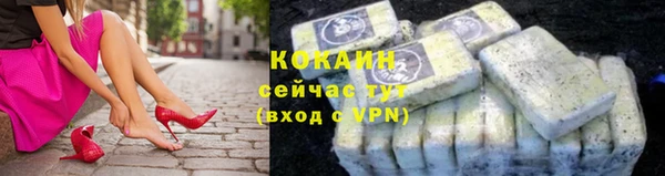 дживик Белокуриха