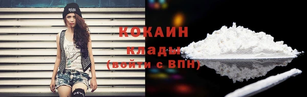 дживик Белокуриха