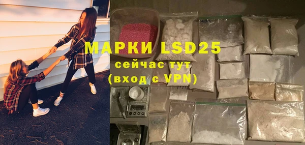 дживик Сосновый Бор