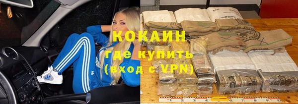 дживик Белокуриха