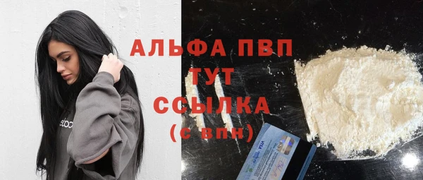 дживик Белокуриха