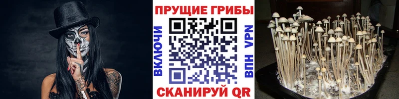 ссылка на мегу ссылка  Гремячинск  Галлюциногенные грибы GOLDEN TEACHER 